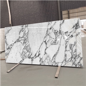 Factory Price Italy Arabescato White Marble Slab Tile